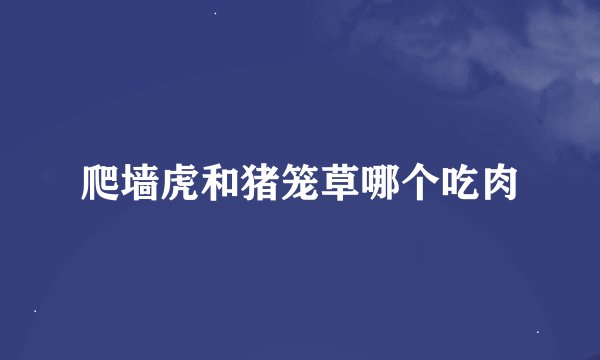 爬墙虎和猪笼草哪个吃肉