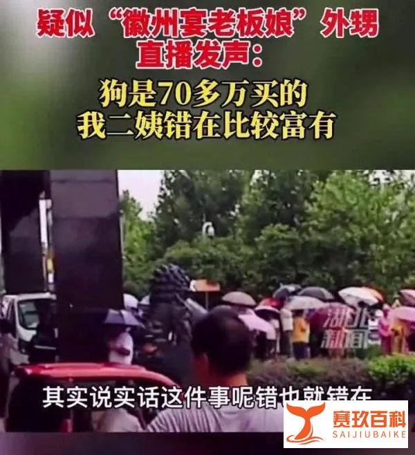老板娘遛狗事件发酵,各地网红涌向徽州宴,老板急了,开始骂了!