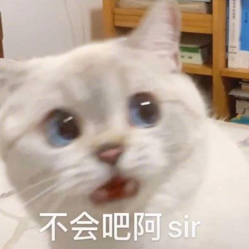 不知所云，让人讨厌的流行语都有哪些？