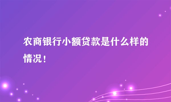 农商银行小额贷款是什么样的情况！