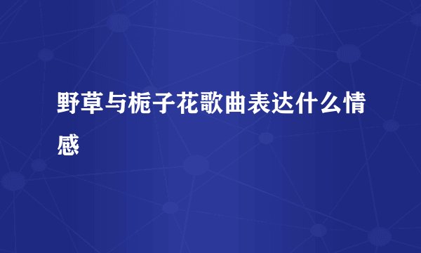 野草与栀子花歌曲表达什么情感