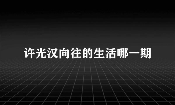 许光汉向往的生活哪一期
