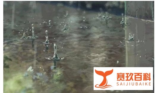 用拟人的修辞手法以雨的身份导入雨的诉说这一话题