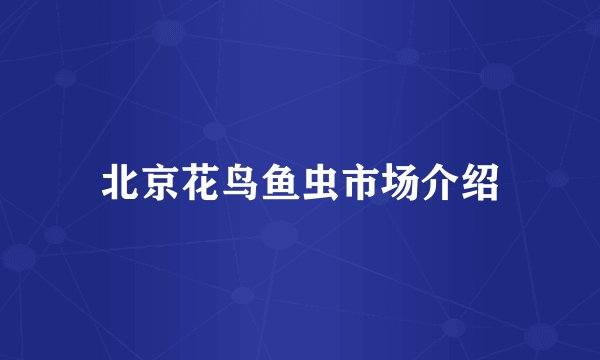 北京花鸟鱼虫市场介绍