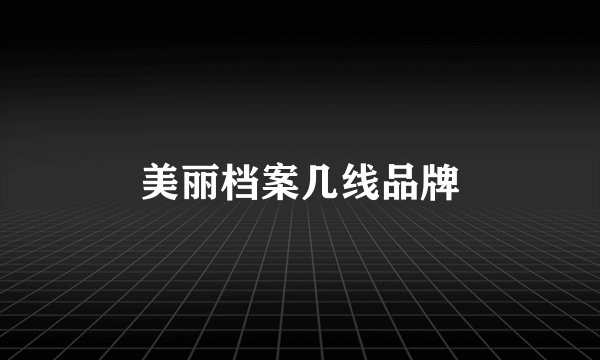 美丽档案几线品牌