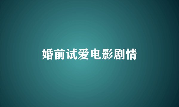 婚前试爱电影剧情