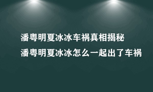 潘粤明夏冰冰车祸真相揭秘 潘粤明夏冰冰怎么一起出了车祸