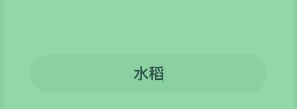 蚂蚁新村3月6日最新答案