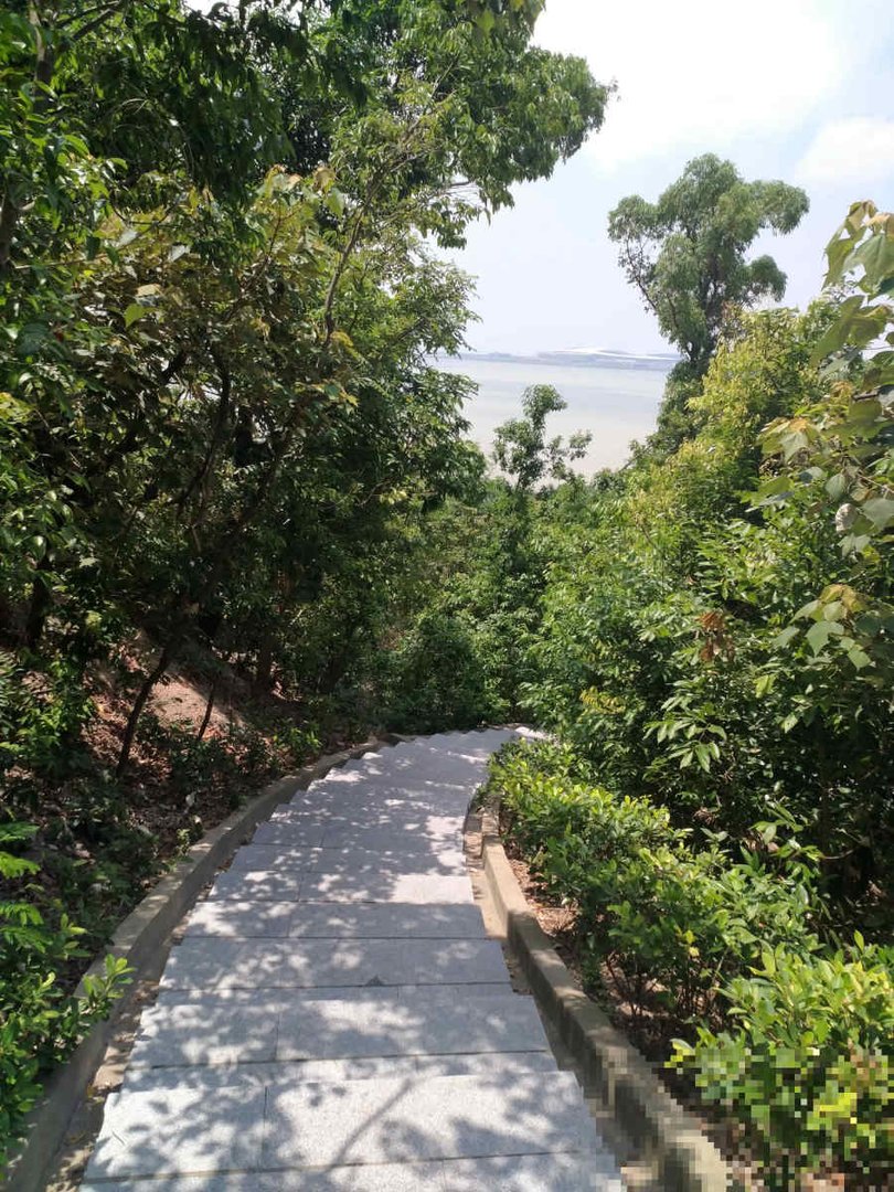 珠海将军山公园有海吗