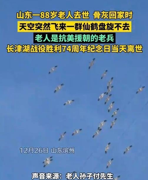 山东一88岁老人去世，骨灰回家时，天空突然飞来一群仙鹤盘旋不去