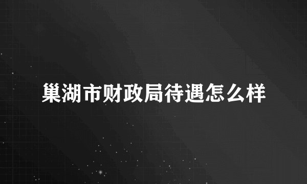 巢湖市财政局待遇怎么样