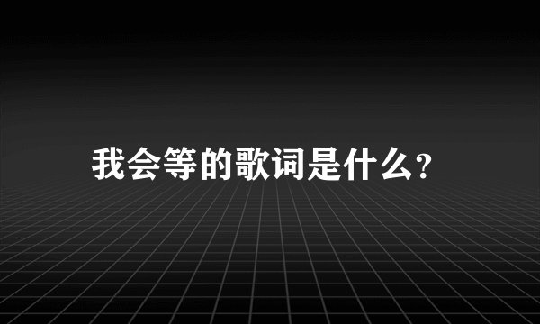 我会等的歌词是什么?