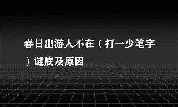 春日出游人不在（打一少笔字）谜底及原因