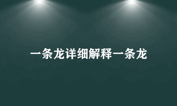 一条龙详细解释一条龙