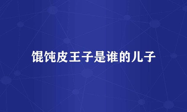 馄饨皮王子是谁的儿子