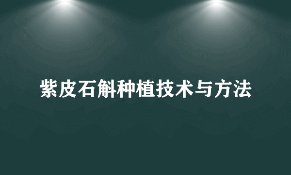 紫皮石斛种植技术与方法