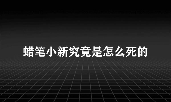 蜡笔小新究竟是怎么死的