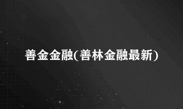 善金金融(善林金融最新)