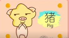 夜夜无眠指一生肖
