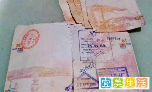 那些年被熊孩子毁过的护照