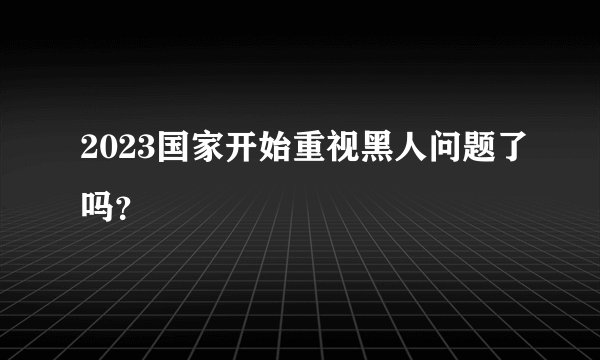 2023国家开始重视黑人问题了吗？