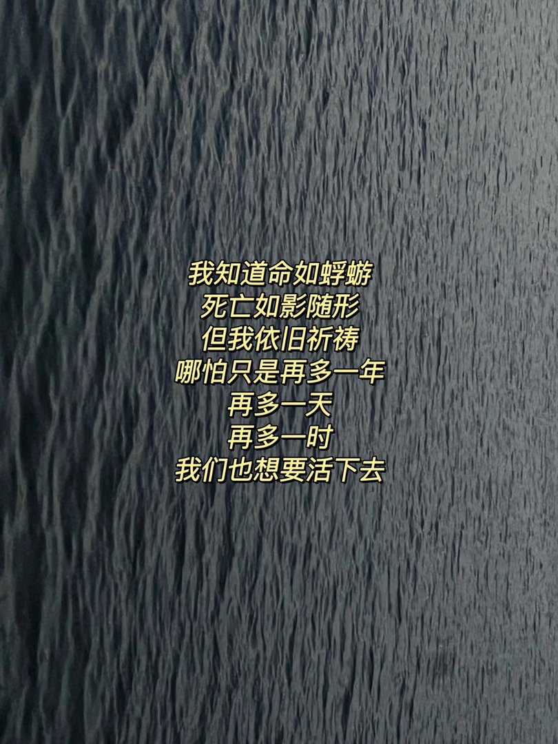 《铃芽之旅》经典神仙台词