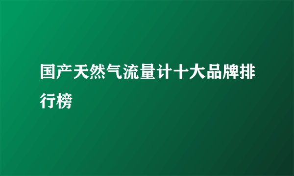 国产天然气流量计十大品牌排行榜