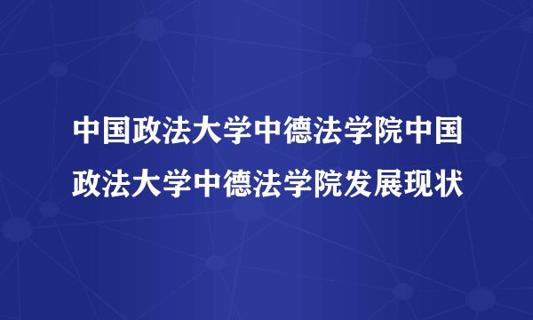中国政法大学中德法学院中国政法大学中德法学院发展现状