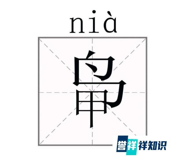 因姓氏太罕见 全村集体改姓“鸭”