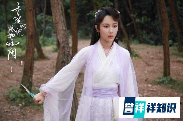 杨紫闷声做大事，首家文化传媒公司成立，网友：俺也不懂就支持她