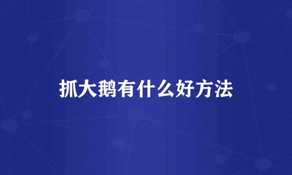 抓大鹅有什么好方法