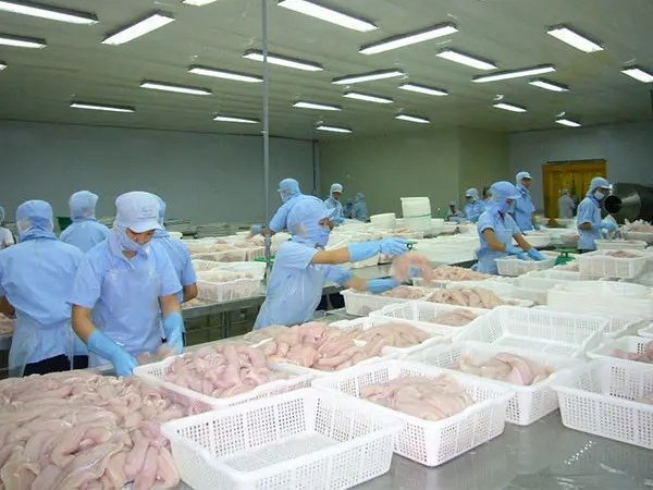 世界中央厨房走红网络,到底什么是世界中央厨房?