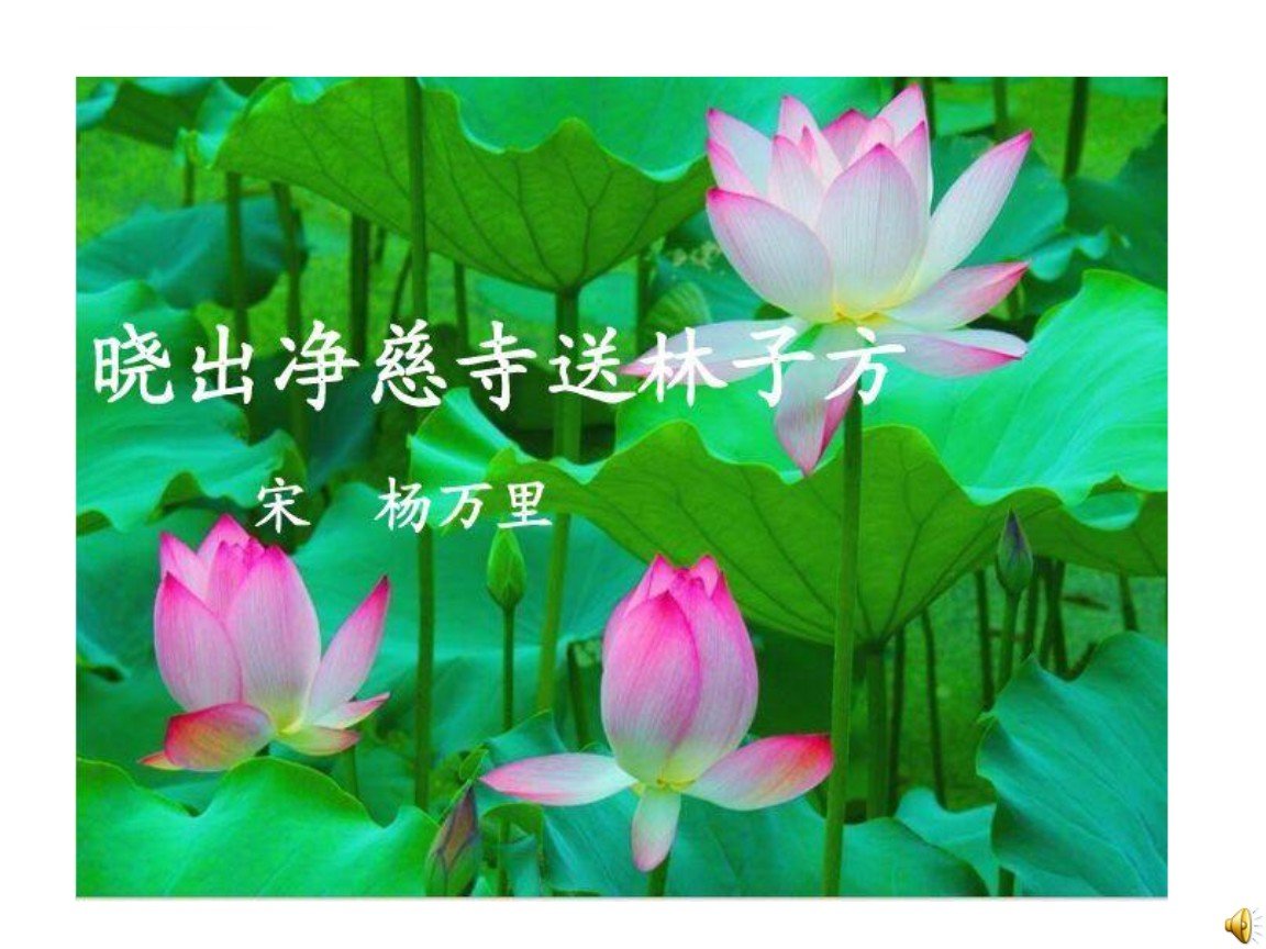 晓出净慈寺送林子方的全诗意思是什么?