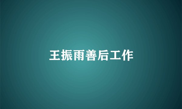 王振雨善后工作