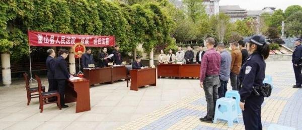 贵州“古楠木王”被盗割，官方：已装摄像头，安排专人看护
