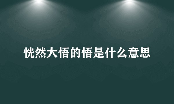恍然大悟的悟是什么意思