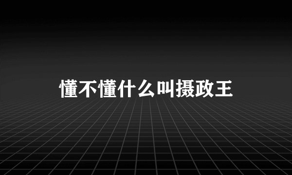 懂不懂什么叫摄政王