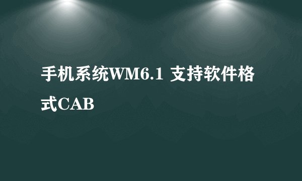 手机系统WM6.1 支持软件格式CAB