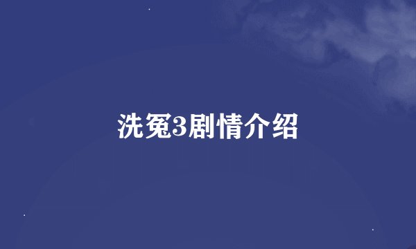 洗冤3剧情介绍
