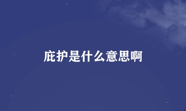 庇护是什么意思啊