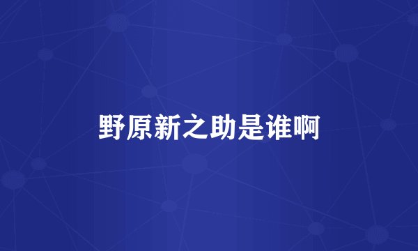 野原新之助是谁啊