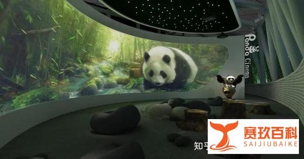 为什么神树坪的树上长满了熊猫？多媒体展厅带你探索熊猫的世界