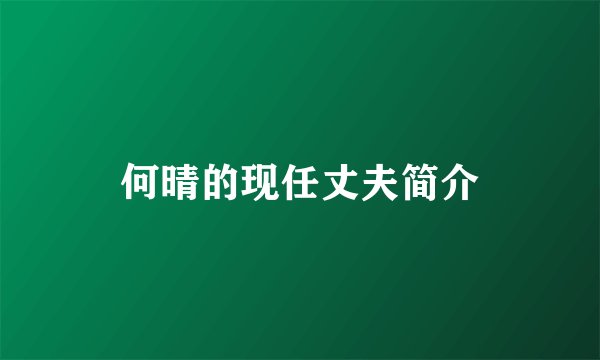 何晴的现任丈夫简介