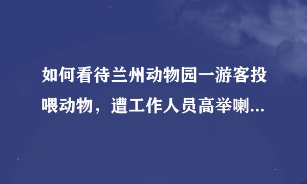如何看待兰州动物园一游客投喂动物，遭工作人员高举喇叭辱骂？什么是更好的处理方式？