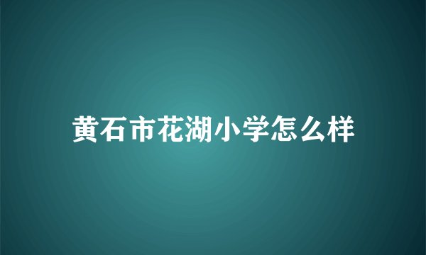 黄石市花湖小学怎么样
