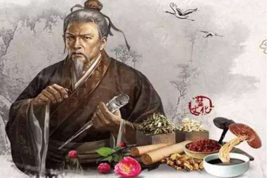 杏林春暖中的杏指的是什么