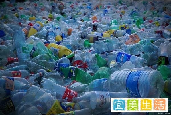 从瓶到瓶，循环利用 食品接触用再生塑料只待政策东风