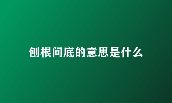 刨根问底的意思是什么