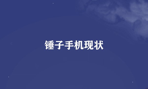 锤子手机现状