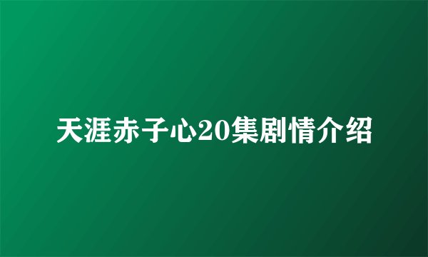 天涯赤子心20集剧情介绍